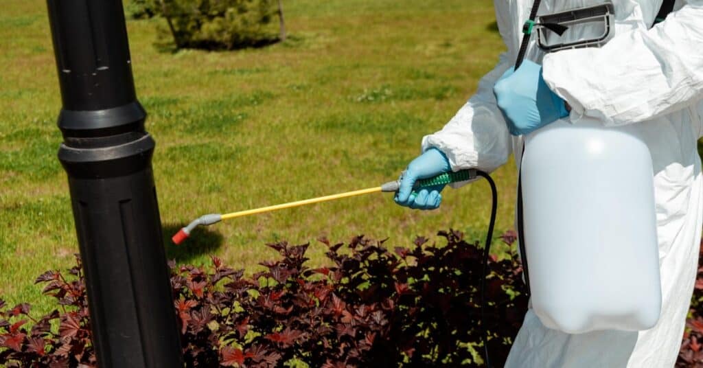 Home Disinfection Service in Dubai