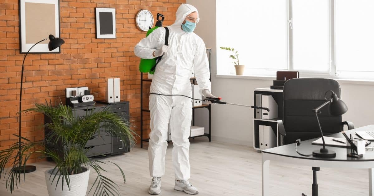 Disinfection Service Dubai Home Disinfection