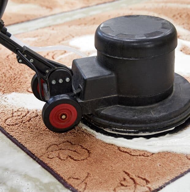 Carpet Cleaning